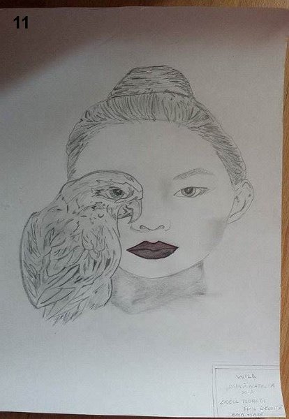 11_Natalia DINCA_Lic Racovita.jpg